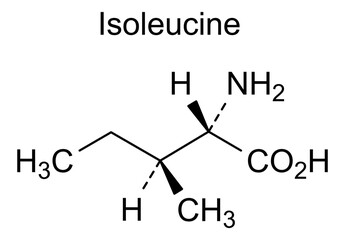 Chemical structure of isoleucine, drug substance