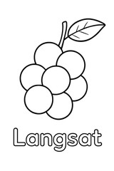 Simple Langsat Fruit Outline for Coloring and Educational Purposes