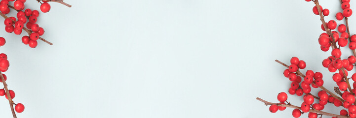 Banner with branches of red winterberry on a blue background. Place for text.