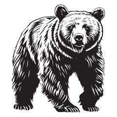 Black bear silhouette isolated on white 