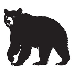 Obraz premium Black bear silhouette isolated on white 