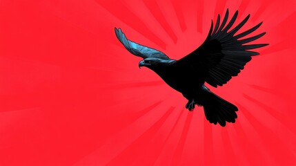 Fototapeta premium Bald Eagle Flying