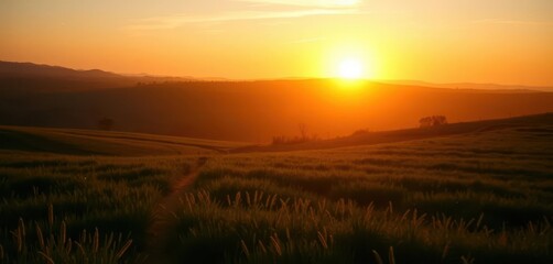Fototapeta premium Golden hour sunrise, soft light illuminating landscape, orange, yellow, feel