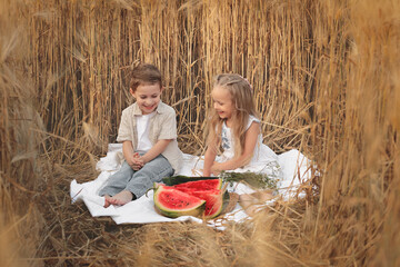 happy kids: boy and girl in wheat field eating watermelon in summer