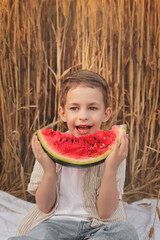 Little boy eating watermelon in wheat field in summer