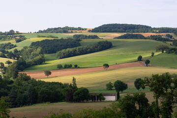 Obraz premium Paysage du Tarn (Pays de Cocagne)