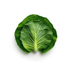 Obraz premium Fresh Green Vegetables