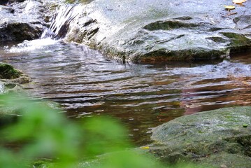 In selective focus a waterfall with a large stone and blurred green leaves background (Sarika...