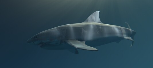 A realistic underwater scene featuring a Great White shark swimming gracefully in the ocean depths. The lighting creates a soft, muted atmosphere, with light beams filtering through the water