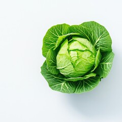 Fototapeta premium Close-up of a fresh green cabbage