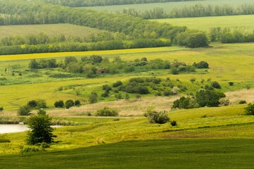 an ancient burial mound from the Late Bronze Age in an unusual location: in a lowland. Surrounded by wheat fields, a pond and the ruins of an old farm on a plain in southern Russia on a sunny summer d