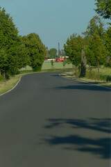 A person is driving down a road that has trees lining both sides, creating a scenic view as they...