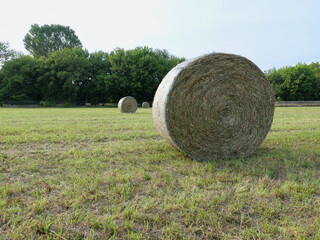 hay bales in lawn