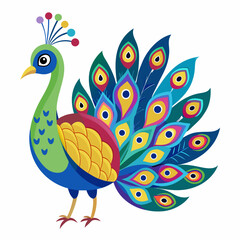 peacock vector illustration