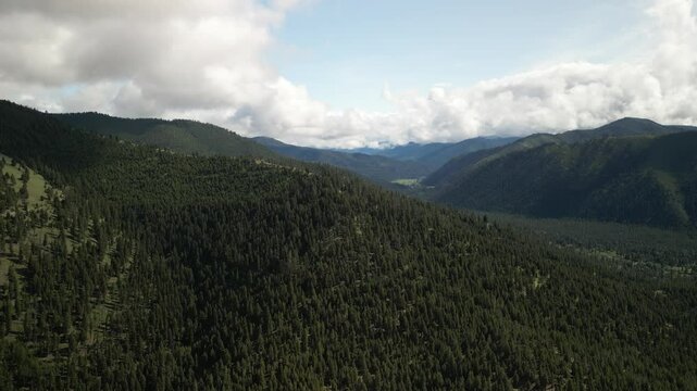 Aerial above forested Bitterroot Mountains in Montana in summer