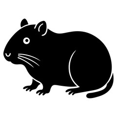 Obraz premium hamster on white background