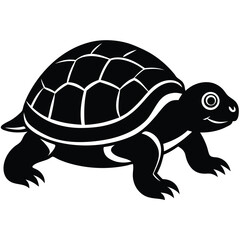 turtle vector illustration