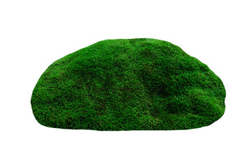 green stone, rock coated moss isolated on white background © Svitlana