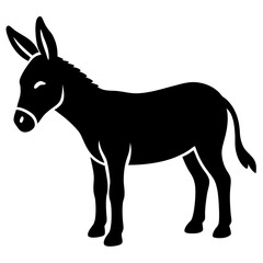 Fototapeta premium donkey isolated on white