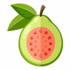 vector illustration of an apple