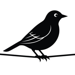 bird vector icon