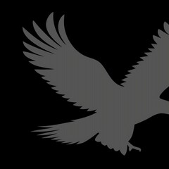 eagle vector illustration