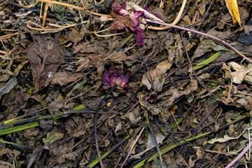 Withered dried leaves, stems and dead flowers in a decomposing organic pile. Natural decay texture. Composting and ecological waste concept. Design for background, wallpaper, poster, banner.