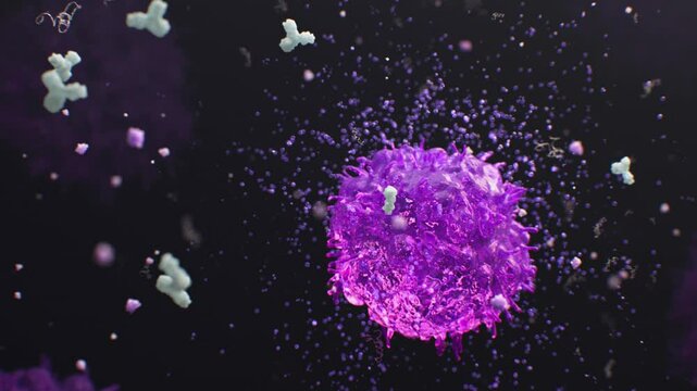 Purple macrophage immune cell secrets numerous particles