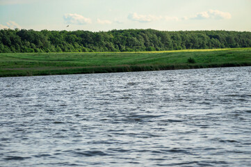 Calm waters of a river reflect a vibrant green landscape under a bright sky, creating a peaceful...