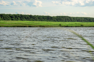 A calm river flows past vibrant green banks under a bright sky, capturing the beauty of nature...