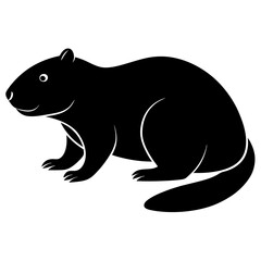 Fototapeta premium beaver on white background