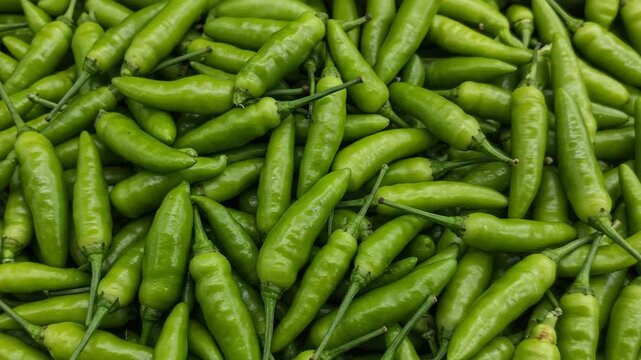 Fresh Green Chilies Organic Market Spice Footage