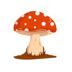 Fly agaric mushroom with ground. Colorful vector illustration of red mushroom with white dots. Poisonous. Botanical hand drawing. Isolated on white background.