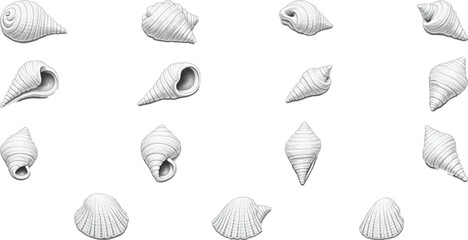 Seashell vector bundle. tropical summer beach vector elements