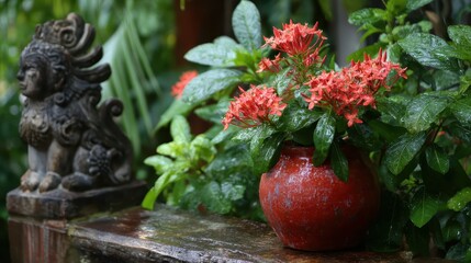 Ixora flowers in a red clay pot beside a weathered garden statue, subtropical backyard after the rain