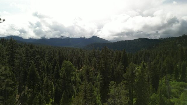 Aerial of Bitterroot National Forest in Montana in spring with dramatic cloudy sky