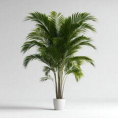 Obraz premium A lush green potted plant adds a touch of nature to any setting, ideal for interior design projects, home decor, and lifestyle marketing, It enhances ambiance and freshness in various environments,