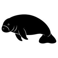 manatee on white background