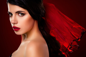 Graceful young brunette woman in bold makeup wearing a red veil against a gradient background