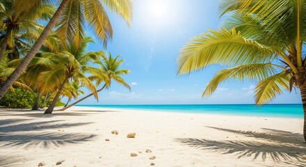 Obraz premium tropical beach with palm trees