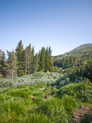 Panorama of Vitosha Mountain, Bulgaria