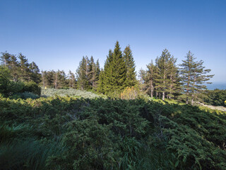 Panorama of Vitosha Mountain, Bulgaria