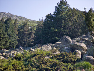 Panorama of Vitosha Mountain, Bulgaria
