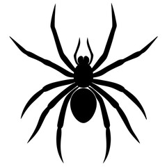 Obraz premium spider on a white background