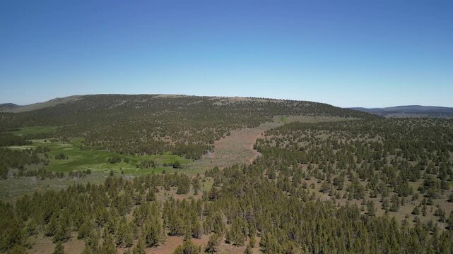 Aerial of forested high desert Steens Mountains in Eastern Oregon hills in springtime