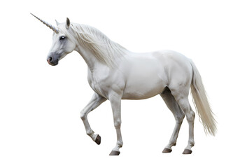 Obraz premium Majestic White Unicorn A Profile View isolated on transparent baackground