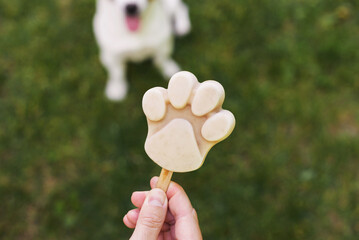 A male hand holds an ice cream for his dog