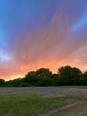 sunset over the field