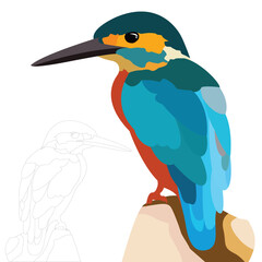 Beautiful bird Kingfisher