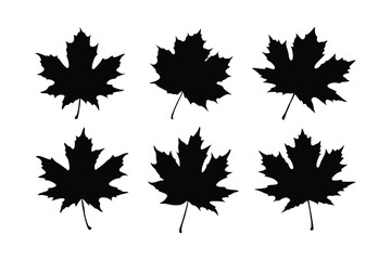 Unique Vector Icons Set of Maple Leaves, Nature Plant Designs, Autumn Foliage Illustrations, Outdoor Flora Graphics